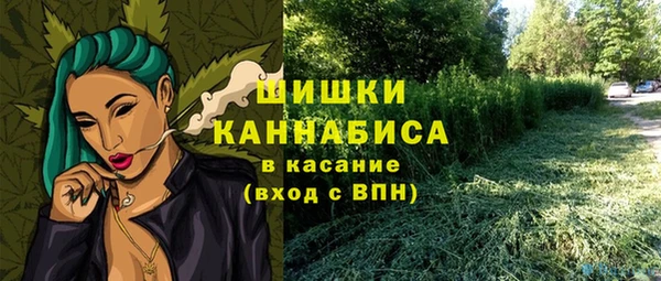 сатива Вязьма