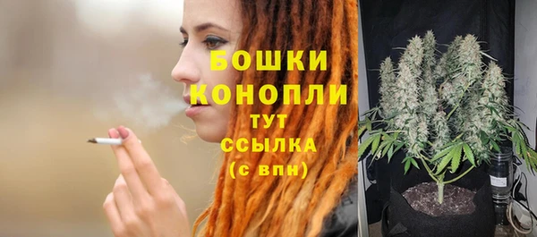 ALPHA PVP Горнозаводск