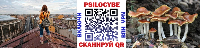 ссылка на мегу ссылки  Десногорск  Псилоцибиновые грибы GOLDEN TEACHER 